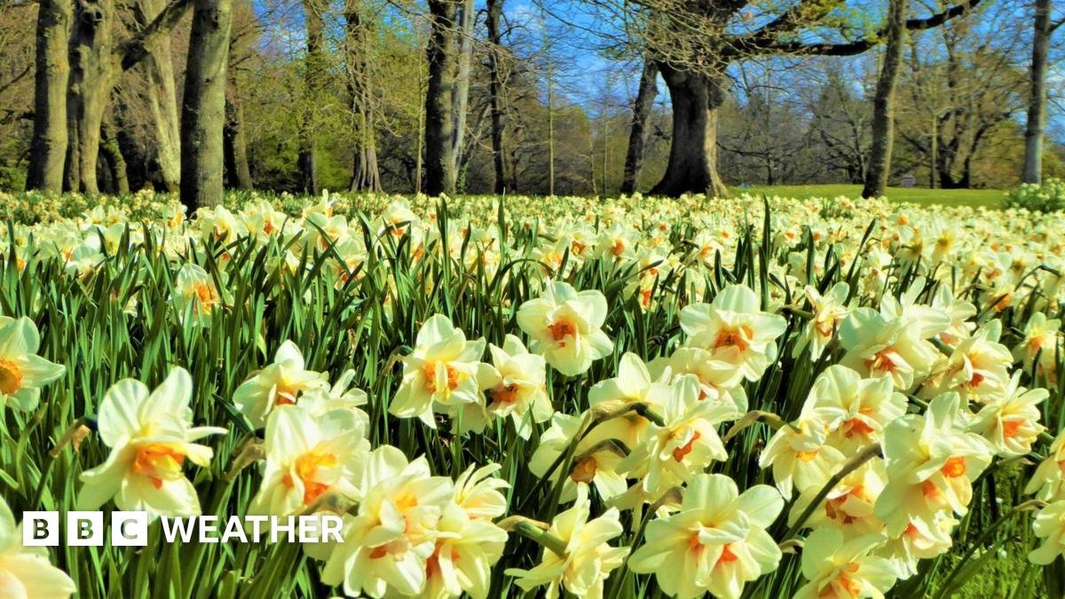 Spring-like weather in the UK