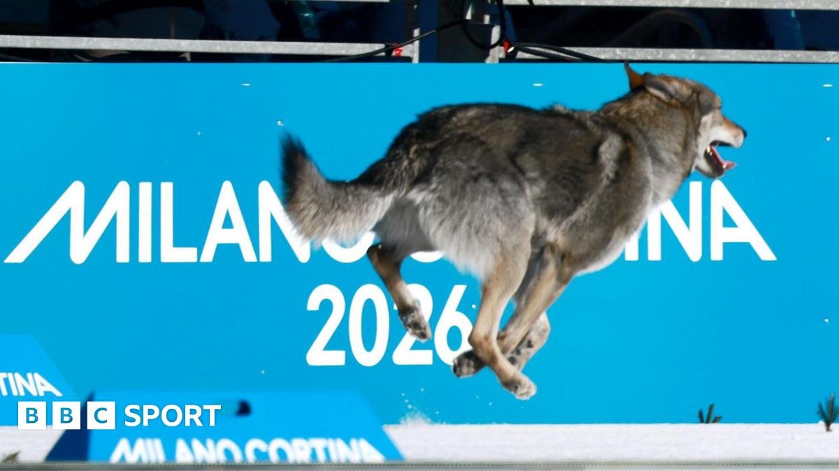 Winter Olympics 2026: Penis injections, cheating biathletes and curling rows – stories we didn’t expect to tell