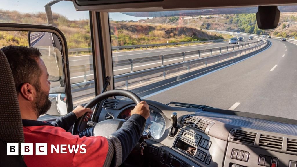 Work from home and drive more slowly to save energy, global body urges