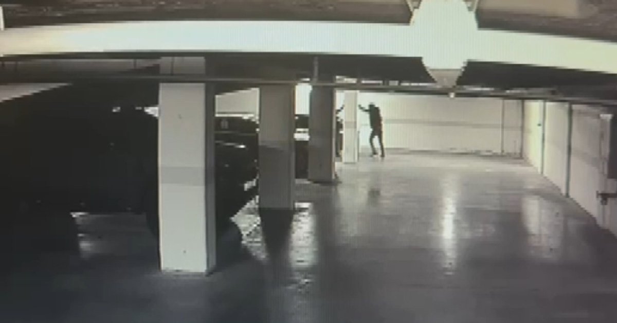 Bakırköy’de 30 milyon dolarlık hırsızlık; 3 şüpheli daha yakalandı