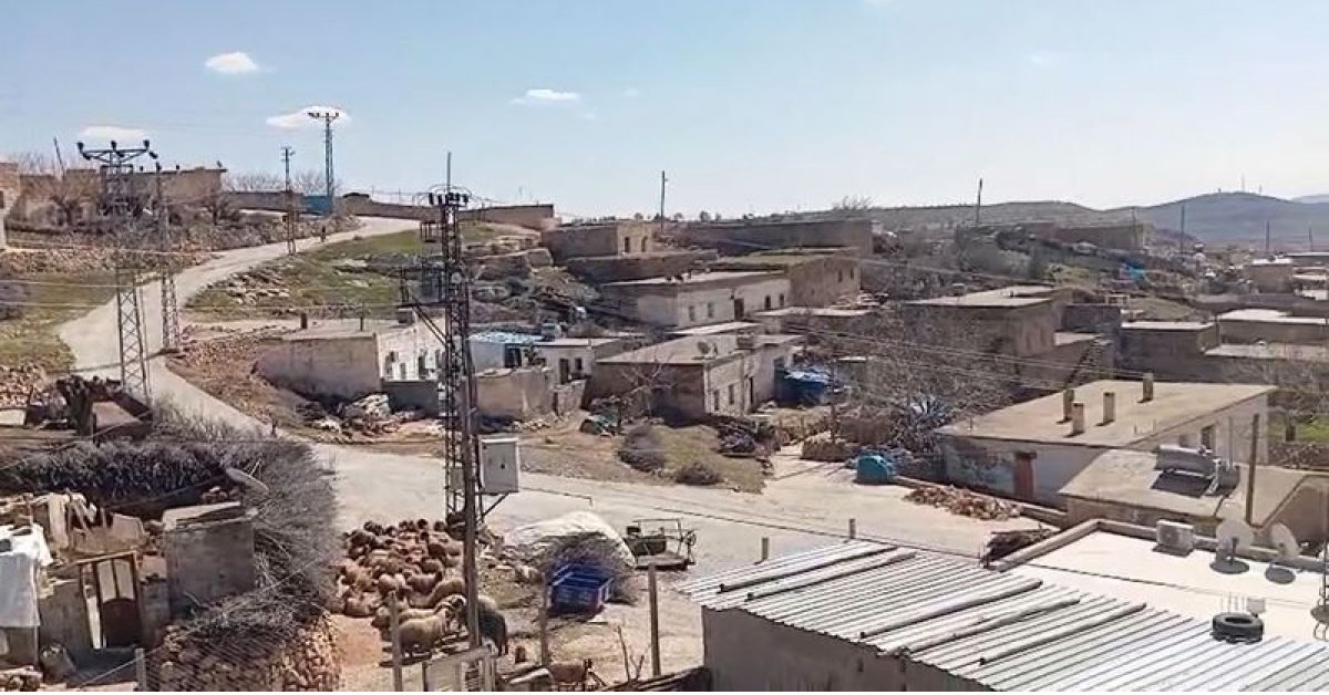Mardin’de bir mahalle karantinaya alındı