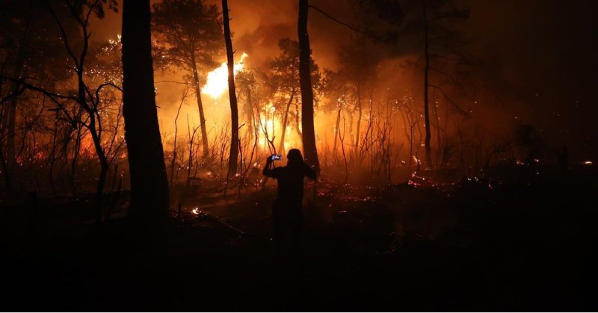 Antalya’da orman yangınlarına karşı yeni plan