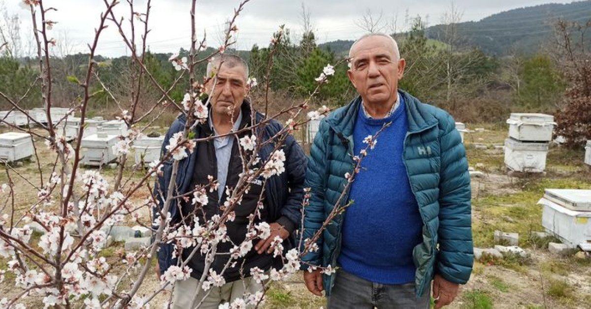Lapseki’de arıcılardan meyve üreticilerine çağrı!