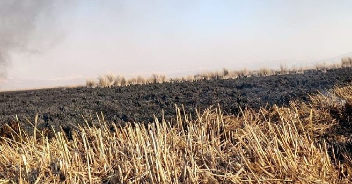 Sultan Sazlığı Milli Parkı’ndaki yangın 4 günde söndürüldü