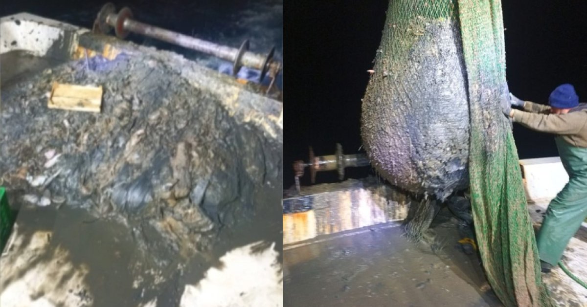 Foçalı balıkçılardan "dip çamuru" tepkisi