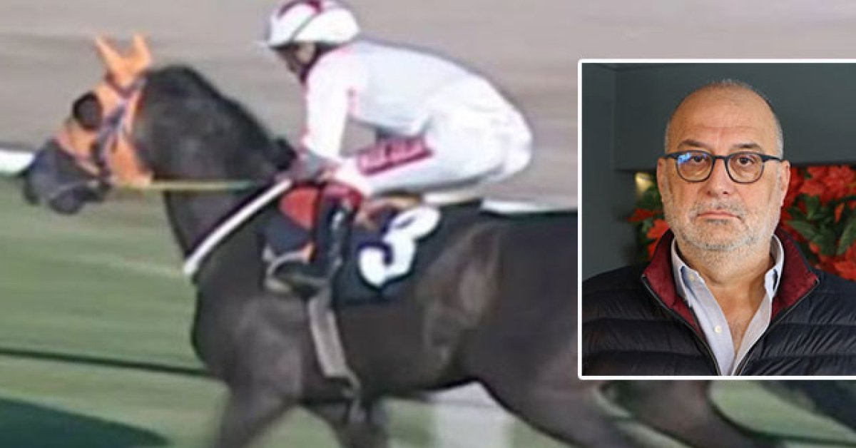 SON DAKİKA HABER: Kavurma, İngiliz yarış atı çıkmıştı! Sahibine 132 bin TL ceza