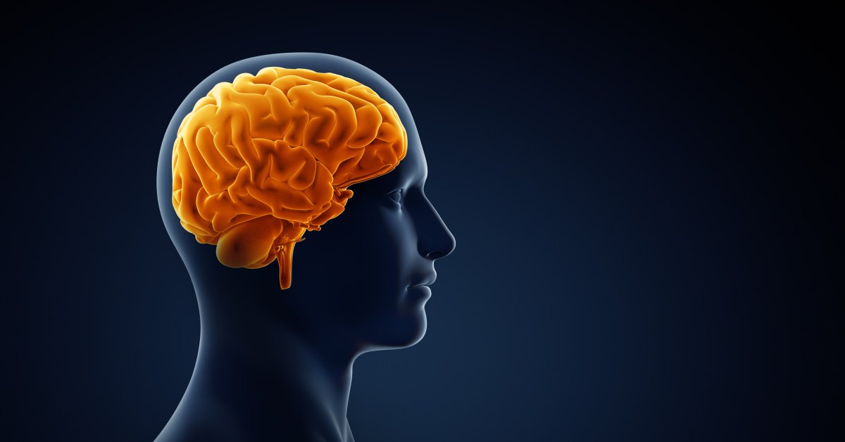 Alzheimer riski yüzde 45 azaltılabiliyor – Haberler