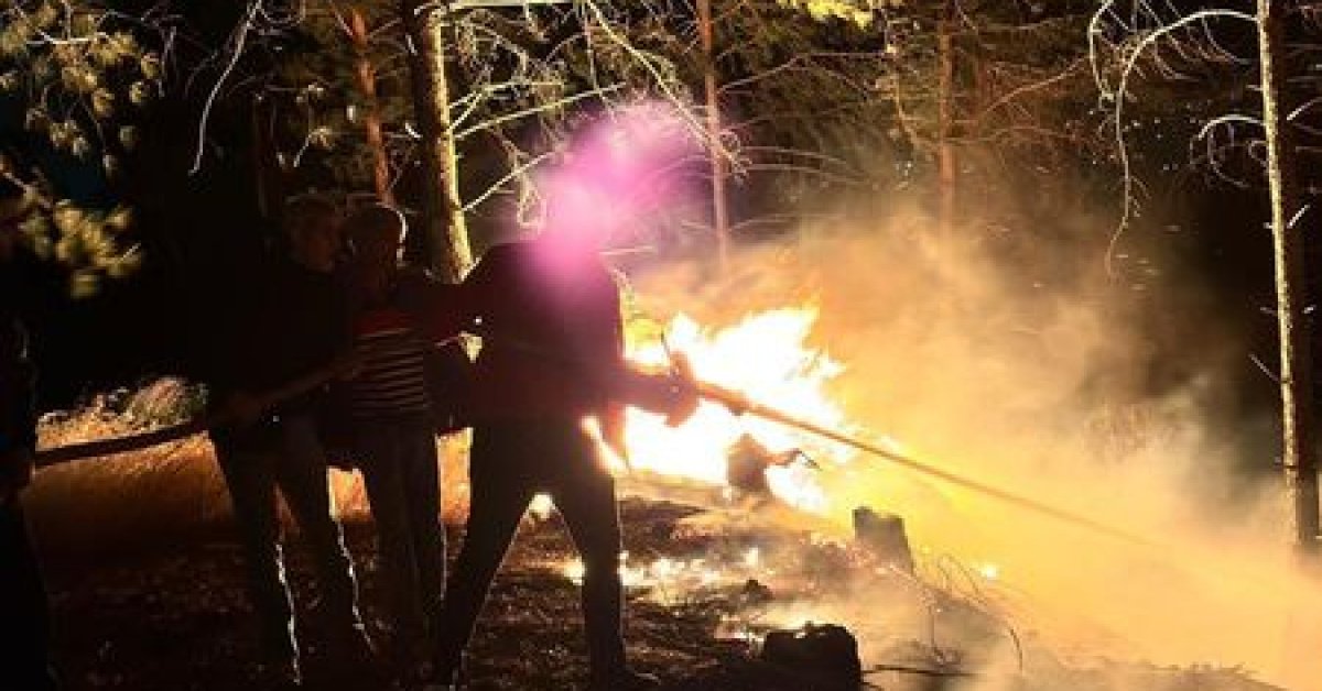 Hatay Dörtyol’da orman yangını | Son dakika haberleri