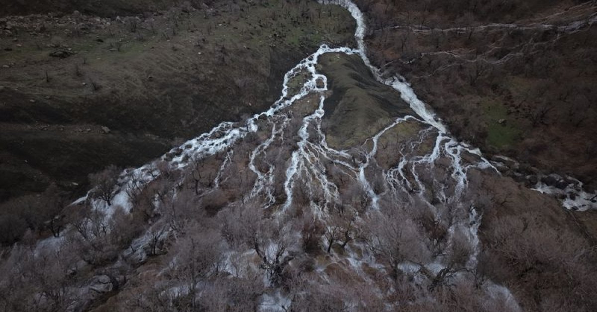 Hakkari’nin Derecik ilçesinde doğa canlandı