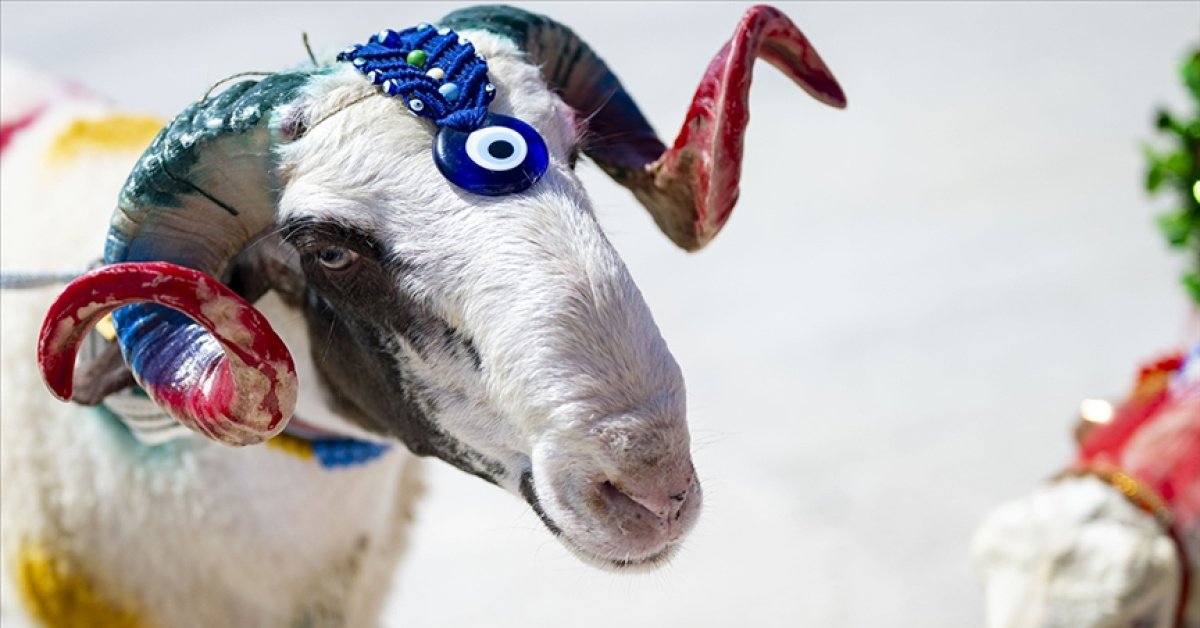 Kurban Bayramı ne zaman? 2026 Kurban Bayramı hangi güne denk geliyor, bayram tatili kaç gün sürecek?