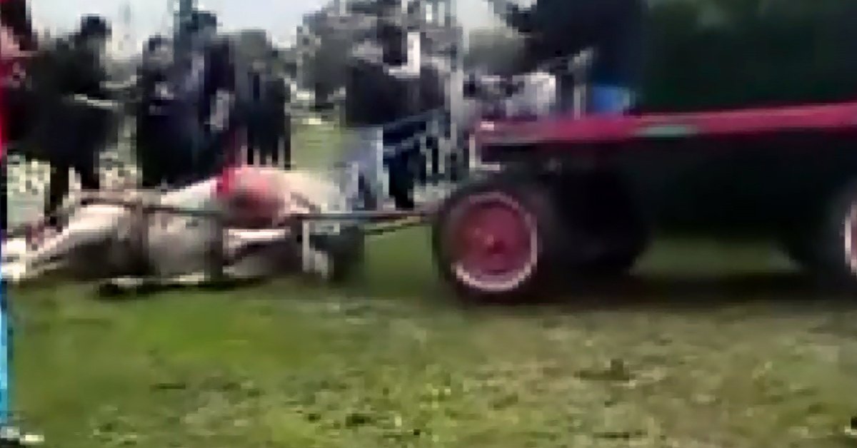 Ata şiddet uygulayıp bayılttılar!