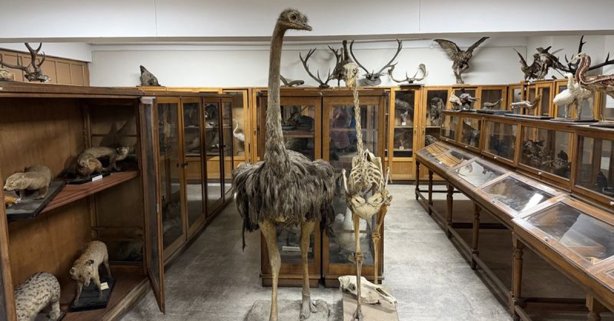 2’nci Dünya Savaşı döneminde genişledi! Müzede korunuyor