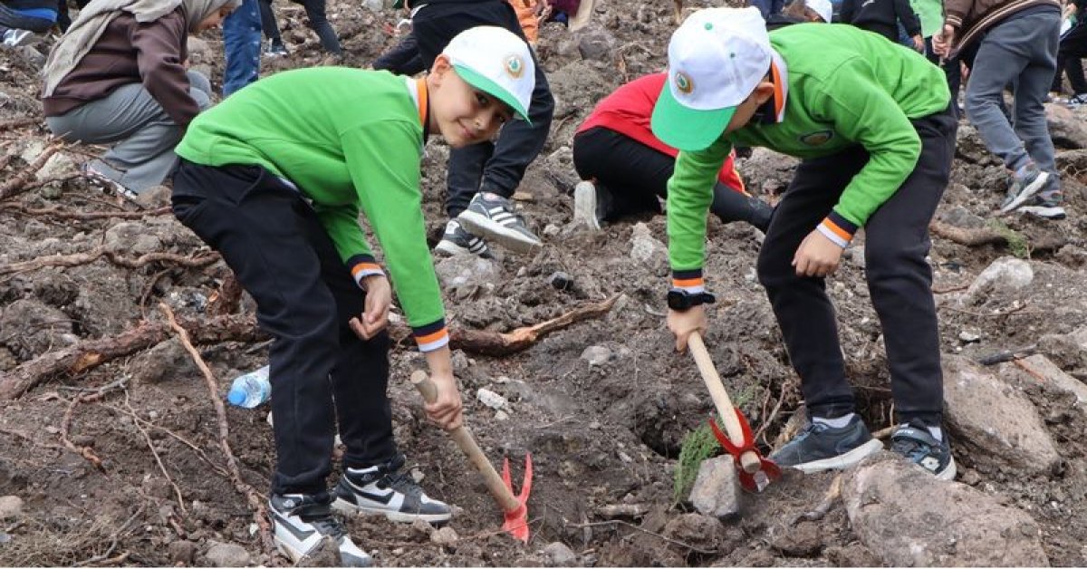 Manisa'da 30 bin fidan dikilecek