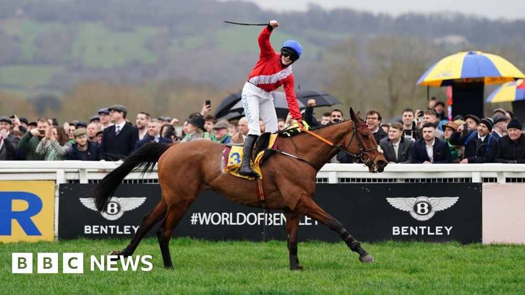 Third horse dies at Cheltenham after Gold Cup race