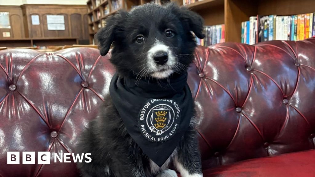 Meet Florrie: The puppy helping young people navigate a complex world