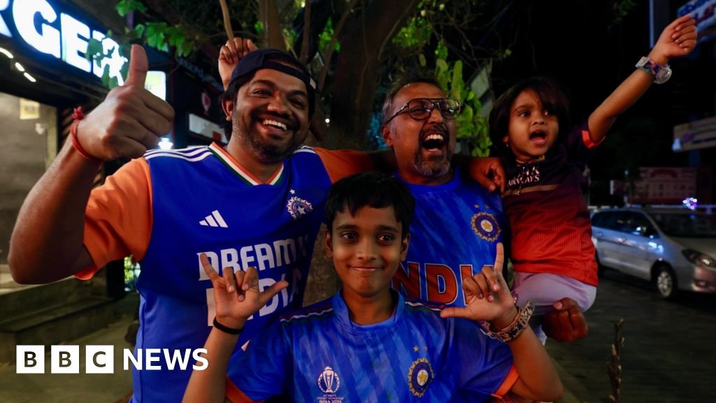 India erupts in celebration after T20 cricket World Cup victory