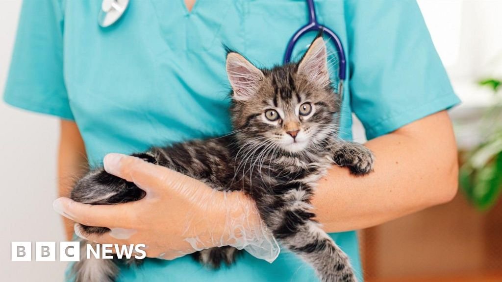 Vet prescription fees to be capped at £21