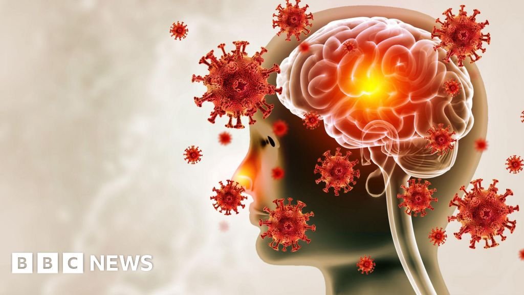 What are the symptoms of meningitis and is there a vaccine?