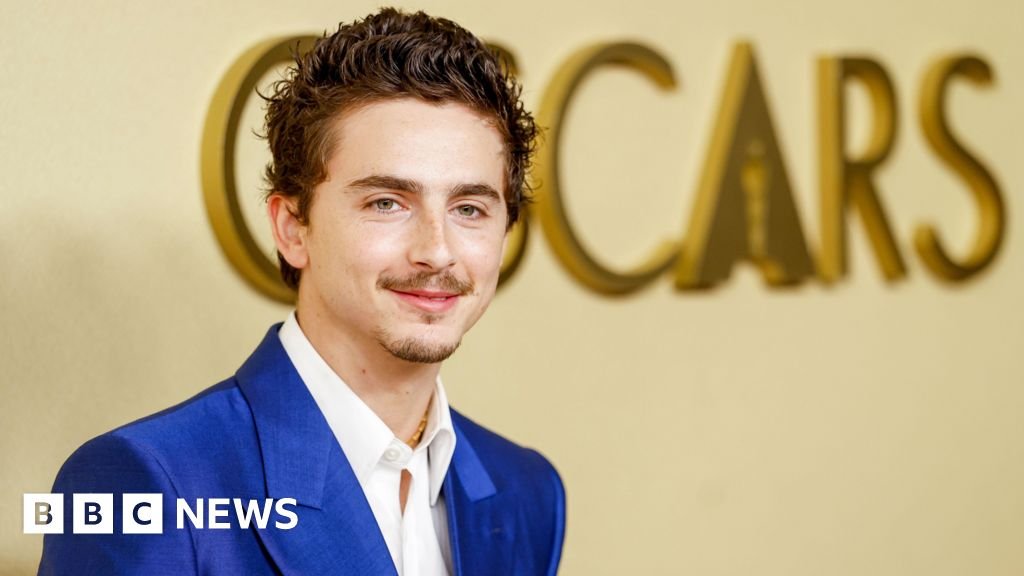 Has Hollywood golden boy Timothée Chalamet lost his shine?