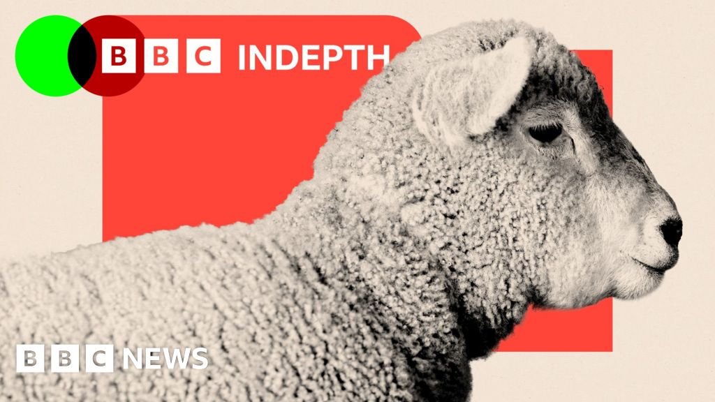 Sheep are disappearing from the UK’s hills