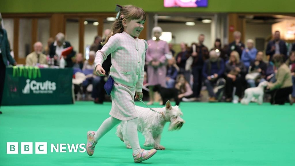 Crufts' youngest competitor wows judges – and beats her mum