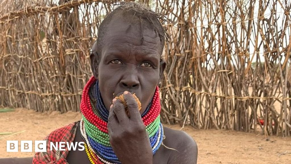 Desperate people turn to the gingerbread tree in Turkana