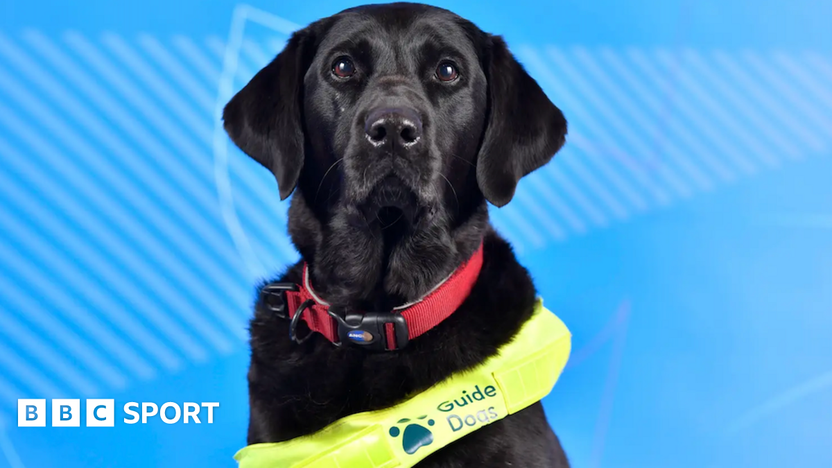 Winter Paralympics: Great Britain’s guide dog team member