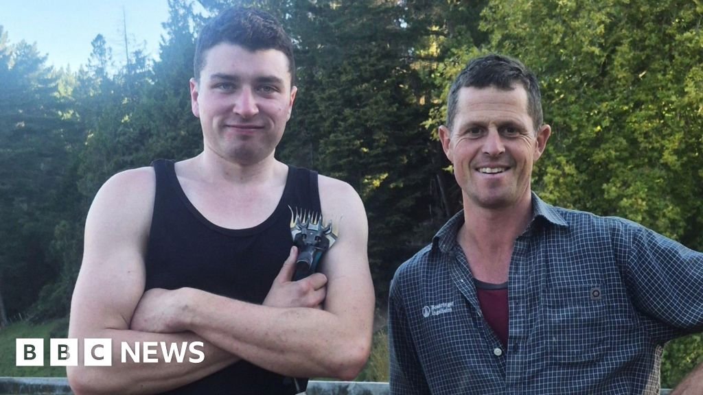 Visa changes will keep workers away and cause harm to sheep, shearers warn