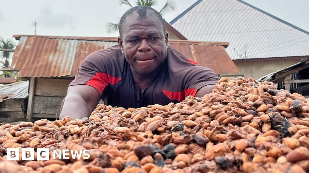 Cocoa farmers in Ghana and Ivory Coast face bitter times as chocolate market slumps