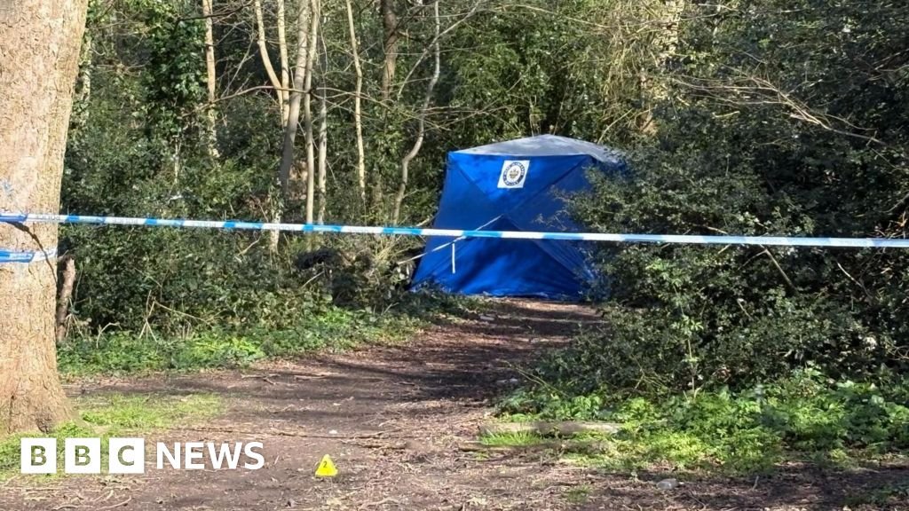 Body of man found in wheelie bin 'after being hit by car'